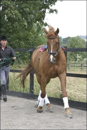 Quelle est la figure de manège sur l'image ? (indice : c'est une figure sur deux pistes)