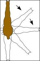 Quelle est la figure de manège sur l'image ? (indice : c'est une figure sur deux pistes)