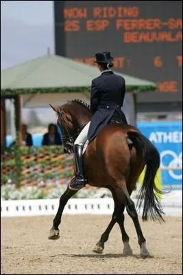 Quelle est la figure de manège sur l'image ? (indice : c'est une figure sur deux pistes)