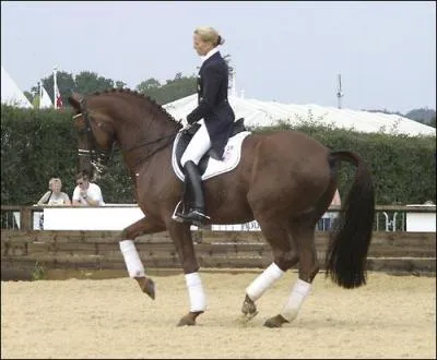 Je suis une sorte de trot sur place, je suis donc :