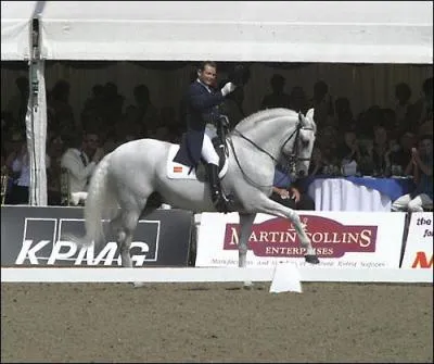 Quelle est cette figure de manège ?