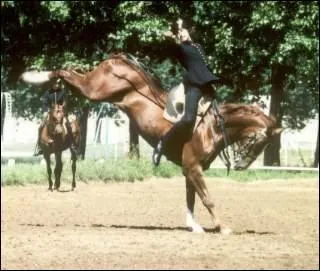 Quelle est la figure de dressage sur l'image ?