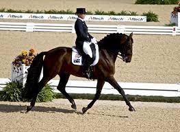 Quiz Chevaux