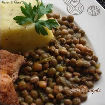 Voici une autre précision qui va nous éclairer, il comporte aussi des pois d'angole. Zio demande donc à Ned de traduire en trouvant un synonyme de cette légumineuse :