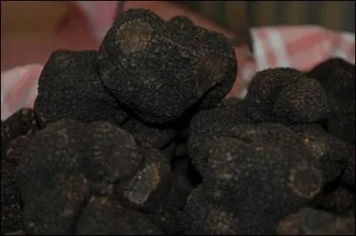 Je n'ose même pas penser à quoi vous allez ressembler si vous ne trouvez pas la bonne réponse : La Dordogne passe dans la ville de Sarlat !