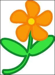 Ceci est un dessin...