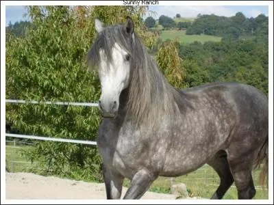 Entre ces 3 robes, laquelle est composée ?