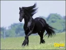 Pour accéder à toutes les compétitions, il est nécessaire d'avoir...