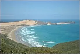 Vous quittez l'Australie pour vous rendre en Nouvelle-Zélande. Quelle mer séparant ces deux pays devrez-vous traverser ?