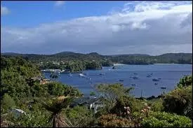 Cette île située au sud de l'île du Sud est l'une des dernières terres avant l'Antarctique. Elle est habitée, mais demeure très largement préservée de toute intervention humaine. Il s'agit de l'île :