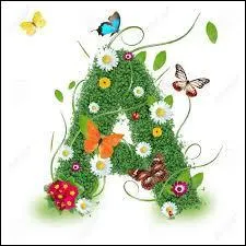 Quelle(s) fonction(s) française(s), l'ablatif représente-t-il ?