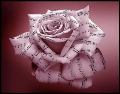 Qui chantait "L'important, c'est la rose" ?