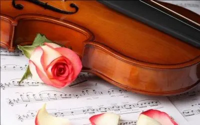 Quelle fleur ne mourra jamais dans "Lady d'Arbanville" de Cat Stevens ?