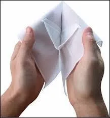 Que voyez-vous sur cette image ?