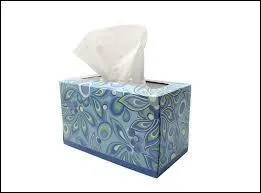 Au début, pour quelle raison la cellulose était-elle utilisée ?