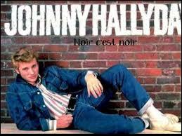 En quelle année la chanson "Noir c'est noir" de Johnny Hallyday est-elle sortie ?