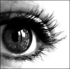 Que signifie l'expression "Un oeil au beurre noir" ?