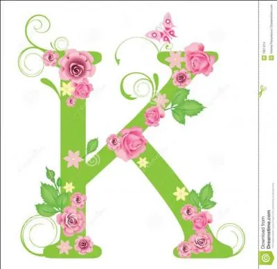 Préfecture, au Japon :