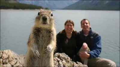 "Un coucher de soleil damassé transperce craintivement un ciel bleu pâle". Que signifie le terme "damassé" ?