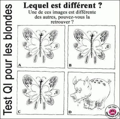 A qui pensez-vous lorsque vous lisez : J'ai un QI de 130, c'est énorme ?