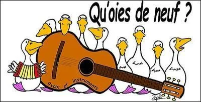 Et si je vous disais : l'oie oit, elle oit l'oie, ce que nous oyons, l'oie l'oit-elle ?