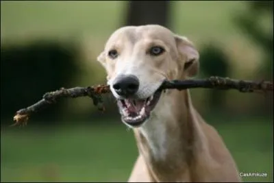On va bien voir si vous en connaissez un bout sur les deux bouts d'un bout !