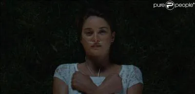 Voilà c'est la fin de ce quiz et on arrive aussi à la fin du roman et du film. Peter Van Houten a donné une lettre à Hazel écrite par Gus. Dans le livre quelle est la dernière phrase écrite par le jeune homme ?