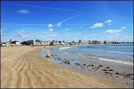 Dans cette ville, les habitants se nomment les "Castelolonnais". Quelle est cette ville ?