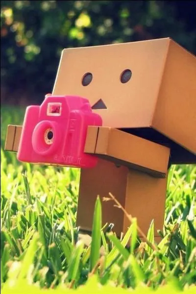 Comment s'appellent les jumelles de la famille Rooney ?