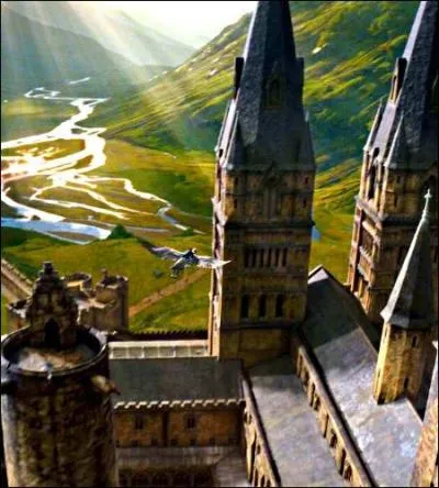 Mit seinem Schwert und seinem Hut ist dieser Ritter ein Schulegründer von Hogwarts.