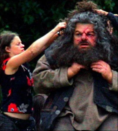 Wieso ist Rubeus Hagrid ein Halbriese ?