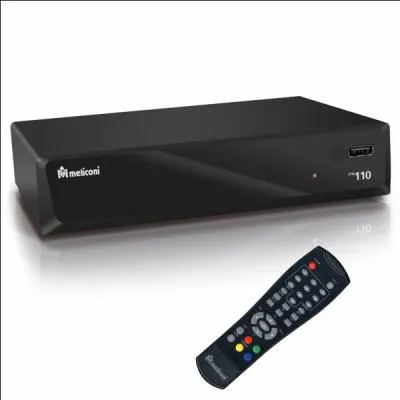 31 mars, lancement de la télévision numérique terrestre (14 chaînes gratuites). C'est l'amorce de la bombe qui va faire exploser nos programmes TV en :