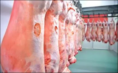 Que représente le cycle E.U.R.O.P ?