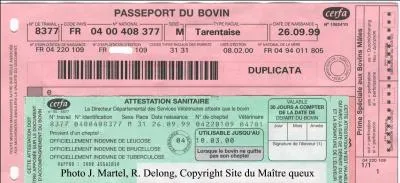 Qu'est qu'un D.A.B ?