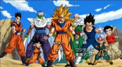Qui sont les Saiyans sur cette image ?