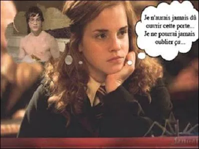 Qu'est-ce que Hermione Granger a vu à la salle de bain ?