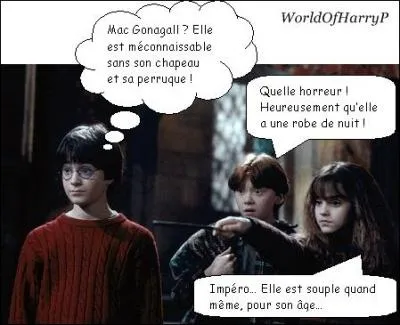Qu'est-ce que Hermione, Ronald et Harry ont vu ?