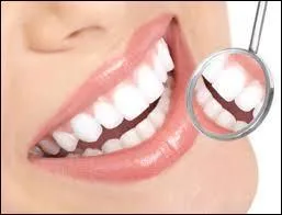 Si je vous dis qu'il aurait aimé être dentiste, vous dites ?
