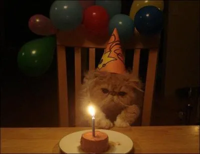 Trouvez le titre de la chanson chantée par Stevie Wonder, pour un jour très spécial, en l'honneur de Nelson Mandela, correspondant à la photo !