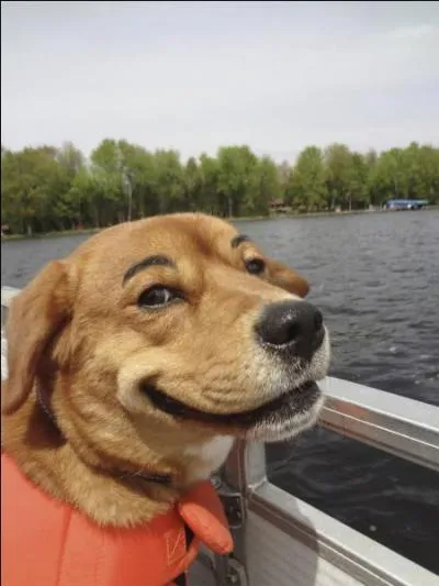 Trouvez cette expression populaire !