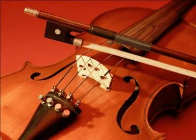 Quel est le nom de cet instrument de musique ?