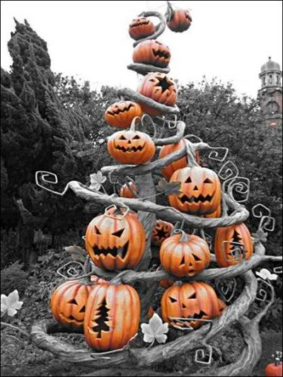 De quoi était garni le sapin symbolisant l'arbre du Paradis lors des scènes appelées Mystères ?