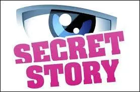 D&eacute;dicace &agrave; Violettastoessel300 - Qui a gagn&eacute; Secret Story 6 ?