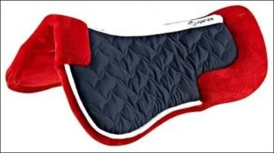 Quel est le nom de cet &eacute;quipement ?