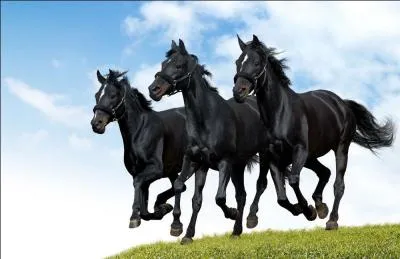 A quelle famille appartient le cheval ?