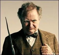 Dans "Le prince de sang-mêlé", un nouveau professeur fait son entrée à Poudlard. Qui est-il ?