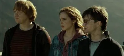 Pendant le film, une chicane survient dans la tente du trio. Qui décide de partir après cet incident ?