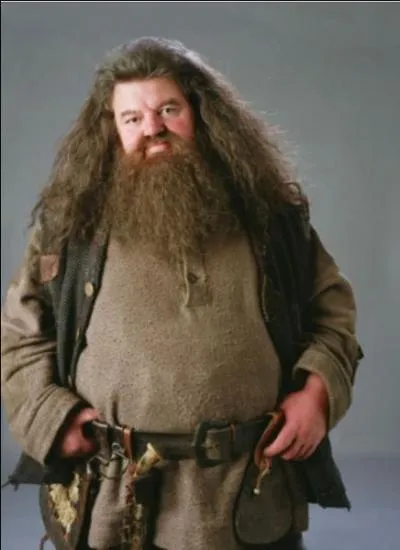 Qui interprète le rôle de Rubeus Hagrid ?