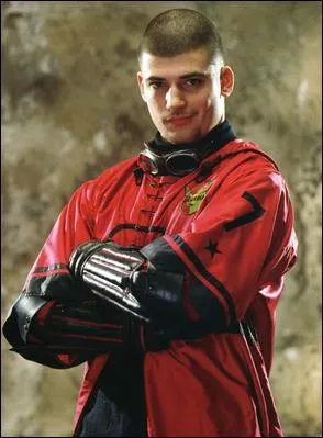 Dans "La Coupe de feu", l'équipe de quidditch ayant Viktor Krum pour capitaine vient de quel pays ?
