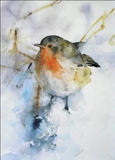 "... s'approche des maisons : signe de froid" !